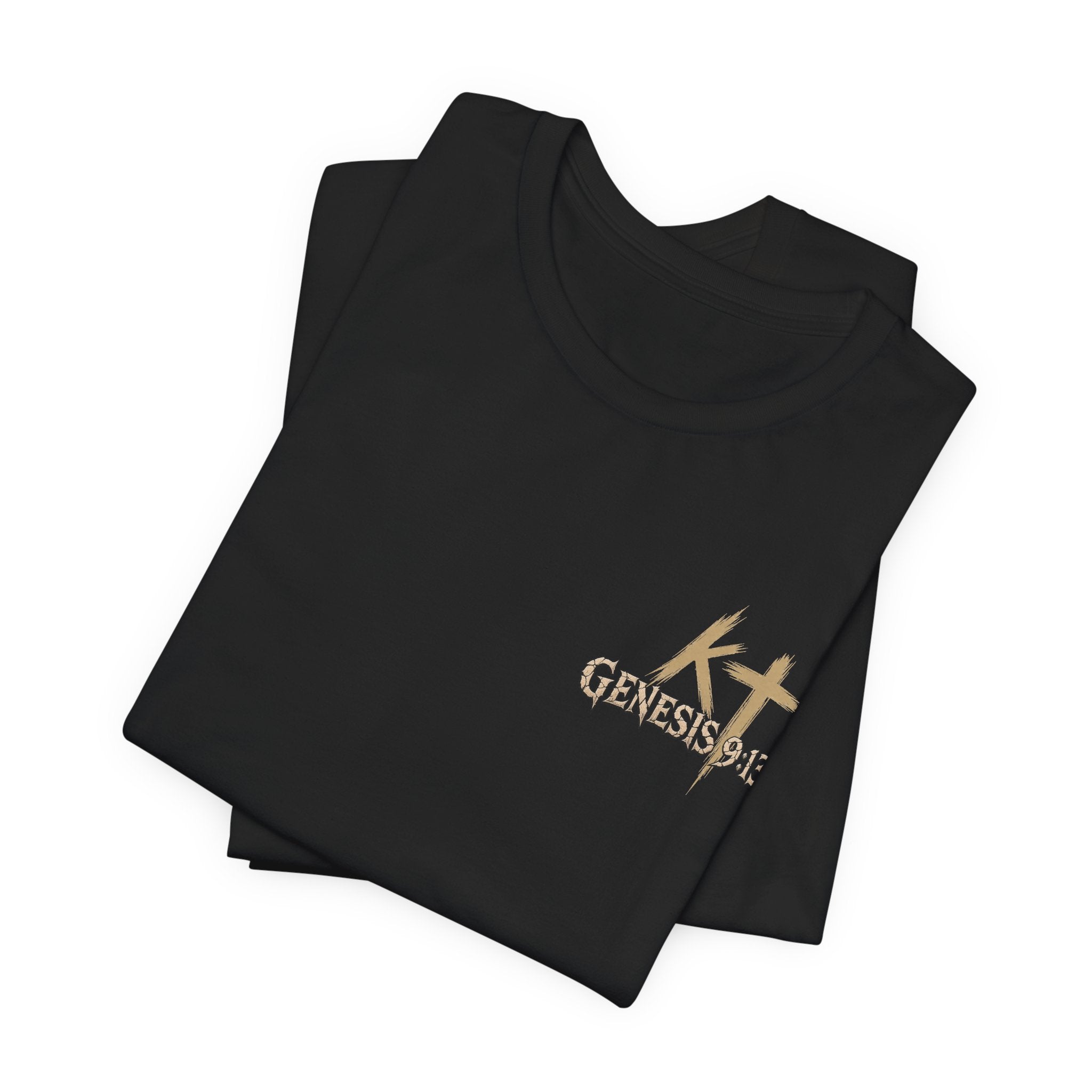 Pride Before the Fall T-Shirt — "Pride Comes Before The Fall" Genesis 9:13 Faith Tee