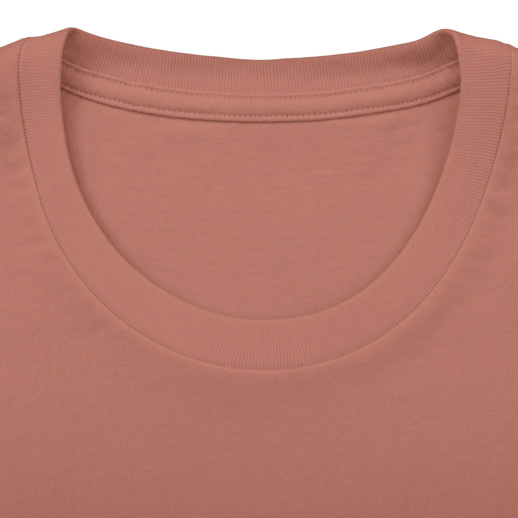 Lion Graphic Tee — "Bold as a Lion" Inspirational Christian Tee (Kingdom-Tempered) — Proverbs 28:1