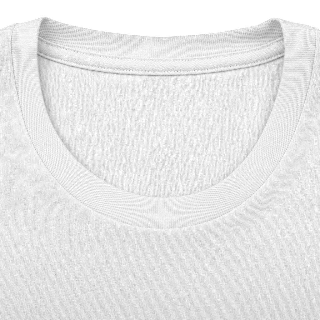 Lion Graphic Tee — "Bold as a Lion" Inspirational Christian Tee (Kingdom-Tempered) — Proverbs 28:1