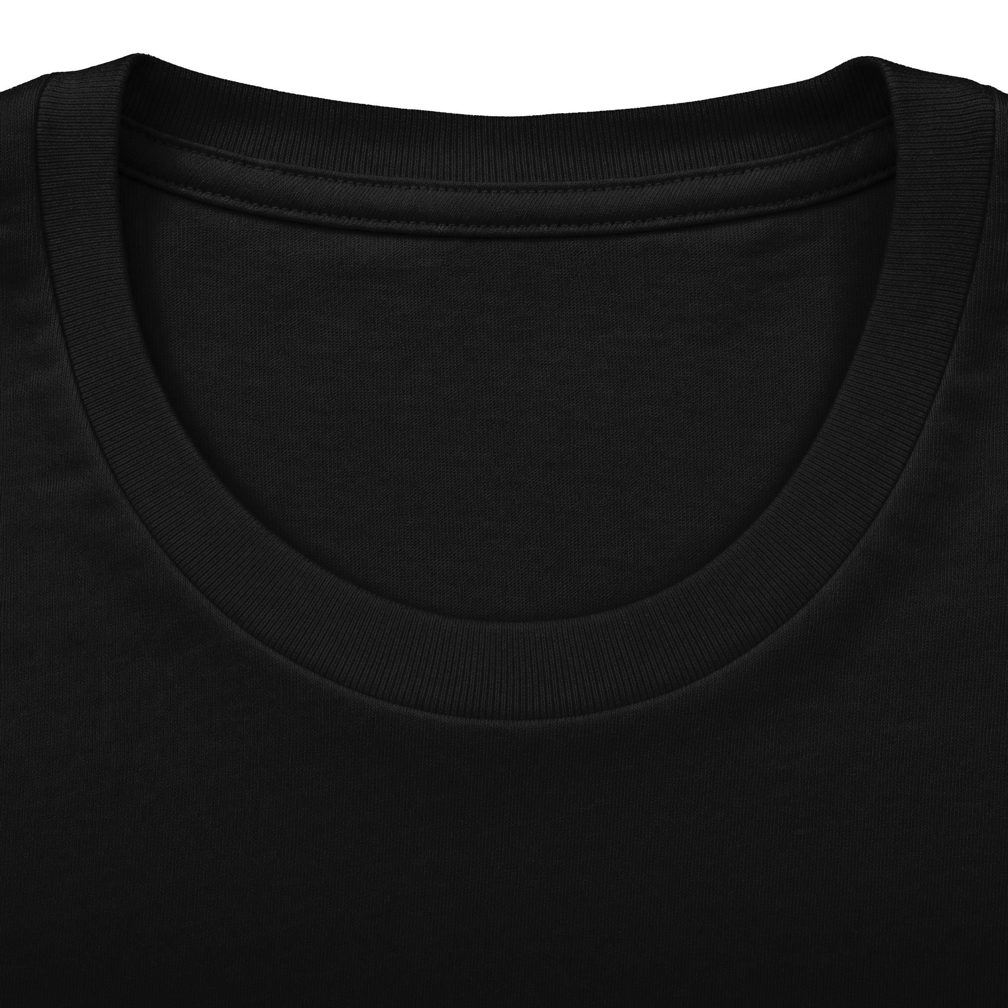 Lion Graphic Tee — "Bold as a Lion" Inspirational Christian Tee (Kingdom-Tempered) — Proverbs 28:1