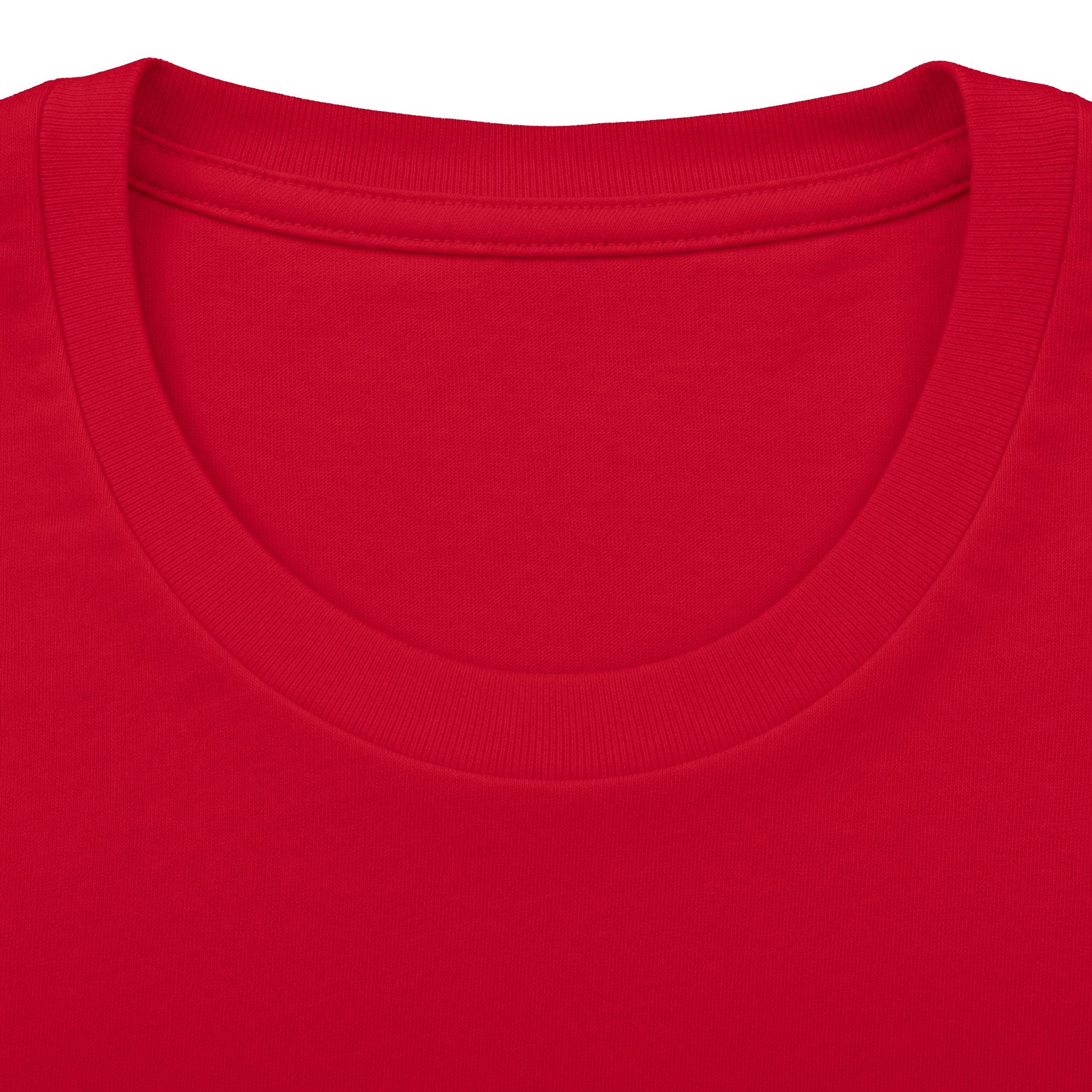 Lion Graphic Tee — "Bold as a Lion" Inspirational Christian Tee (Kingdom-Tempered) — Proverbs 28:1