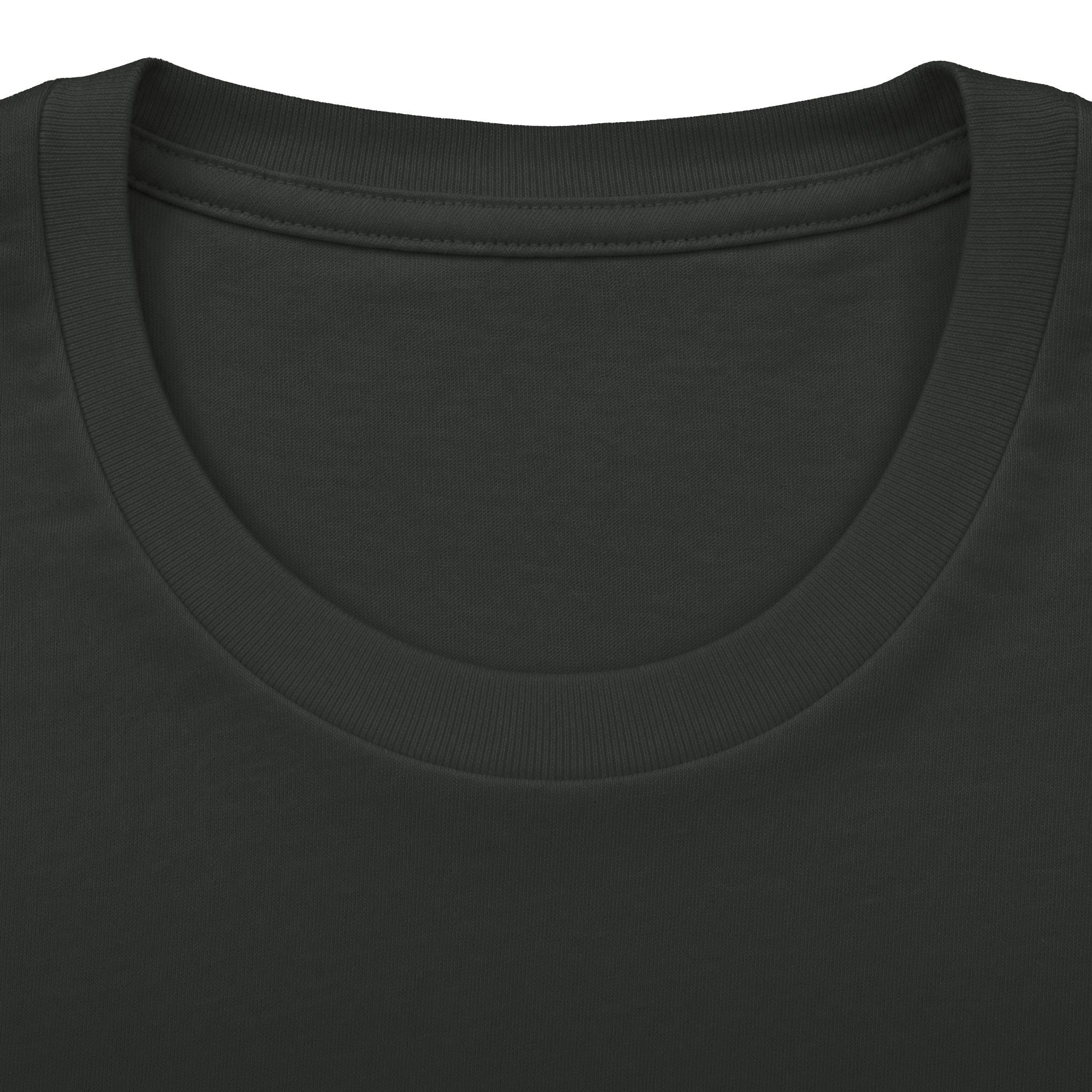 Lion Graphic Tee — "Bold as a Lion" Inspirational Christian Tee (Kingdom-Tempered) — Proverbs 28:1